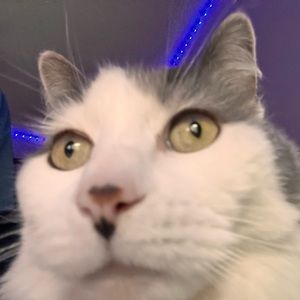 Meet your Posher, Garrett